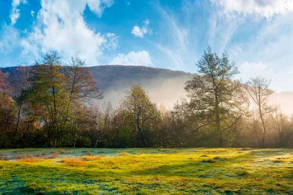 Krajina Při Východu Slunce Nad Lesem Travnaté Louce Zářila Ranním — Stock fotografie