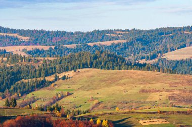 Sonbahar kırsal manzarası akşam ışığında. Yuvarlanan tepelerdeki kozalaklı ormanın yanındaki kırsal alanlar.