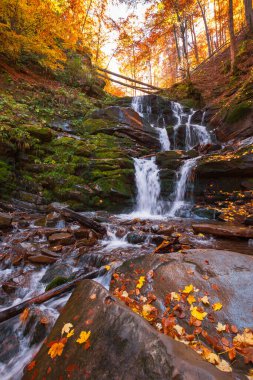 Akşamüstü kayaların arasında şelale var. Ormandaki güzel sonbahar manzarası. Taşların üzerindeki ıslak yapraklar. Transcarpathia ve Ukrayna 'nın popüler seyahat noktası
