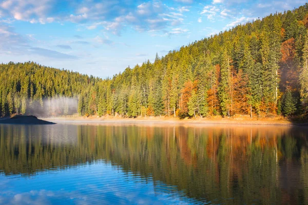 Landschaft Bergsee Herbst Schöne Naturkulisse Morgen Fichtenwald Ufer Synevyr Nationalpark — Stockfoto