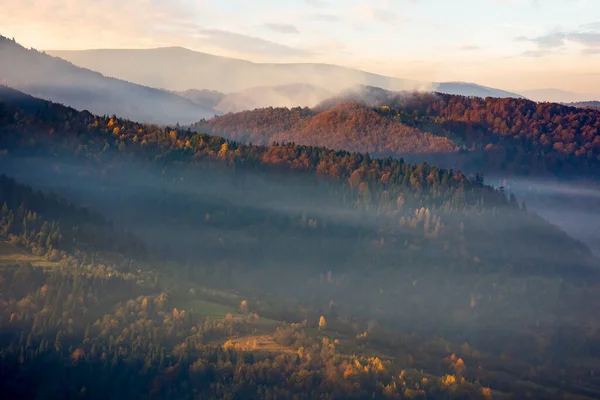 Paysage Montagne Par Une Matinée Brumeuse Fond Naturel Pittoresque Avec — Photo