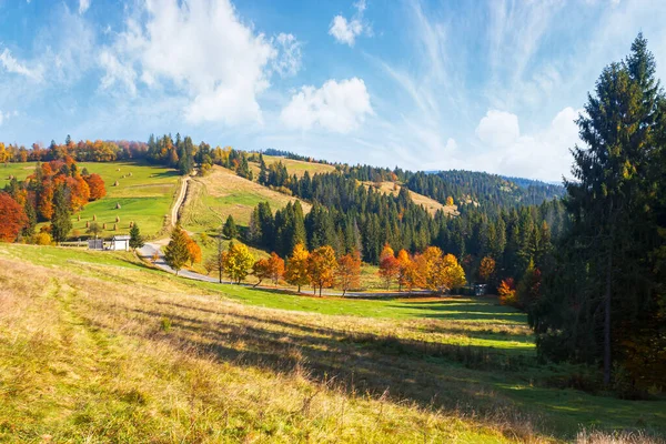 Herbstliche Landschaft Den Bergen Nadelwald Auf Dem Hügel Und Bäume — Stockfoto