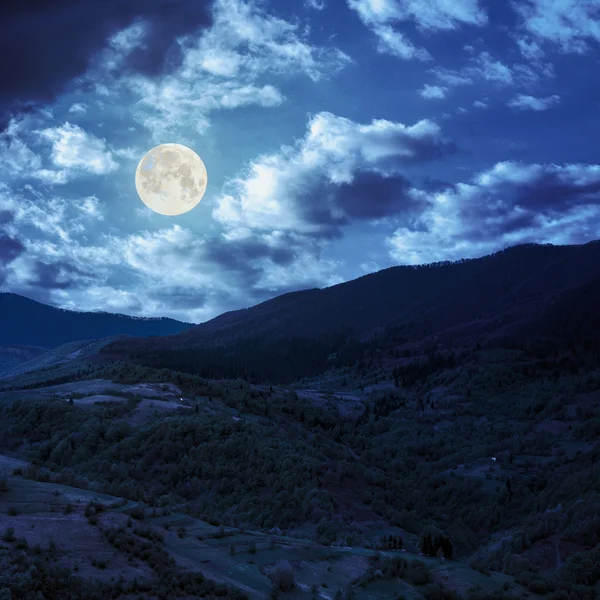 Dağ gece ormanda ile hillside çayır Köyü — Stok fotoğraf