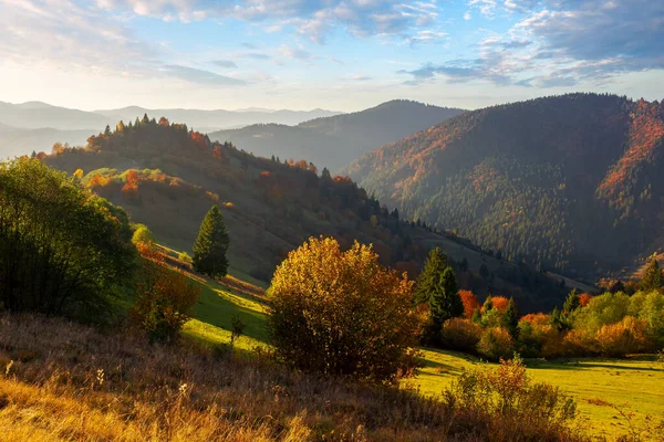 Berglandschaft Herbst Bäume Buntem Laub Auf Den Grasbewachsenen Hügeln Bergrücken — Stockfoto