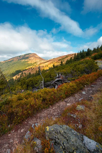 Paisagem Outono Montanhas Pico Luz Dappled Distância Encostas Coloridas Prados — Fotografia de Stock