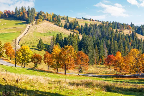 Herbstliche Landschaft Den Bergen Nadelwald Auf Dem Hügel Und Bäume — Stockfoto