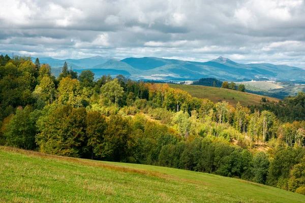 Horská Krajina Začátku Podzimu Stromy Louky Zvlněném Kopci Tečkovaném Světle — Stock fotografie