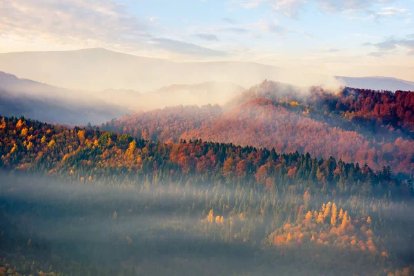 山区自然背景 多雾的天气 山上生长着五彩缤纷的树木 — 图库照片