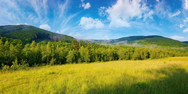 中午时分 在草地上的森林里 夏天美丽的乡村风景 云雾从遥远的山中飘扬 笼罩在美丽的天空下的树梢之上 — 图库照片