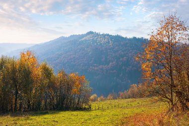 Sonbaharda kırsal alan. Dağ tepelerindeki orman renkli yapraklarla kaplı. Güneşli bir günde güzel bir arka plan.