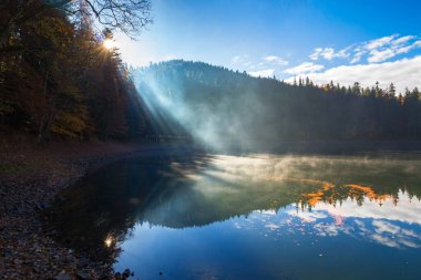 Dağ gölündeki sabah manzarası. Sis ile güzel sonbahar manzarası. Kıyıdaki kozalaklı orman. Synevyr Ulusal Parkı, Ukrayna