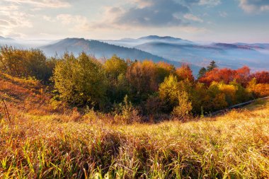 Sonbaharda güneş doğarken dağlık kırlarda. Kırsal vadide sisli harika güneşli doğa manzarası. Bir tepenin tepesinden, renkli yapraklarla ağaçlarla gözlenen muhteşem bir manzara.