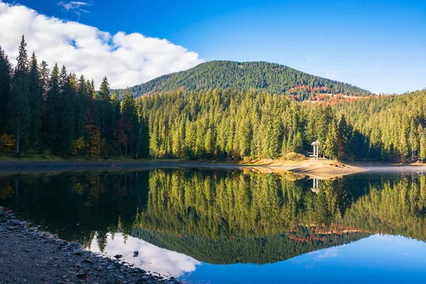 Landscape Mountain Lake Autumn Beautiful Nature Scenery Morning Spruce Forest — Stock Photo, Image