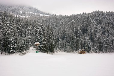 Dağlardaki kış manzarası. Bulutlu bir günde ladin ormanlı kasvetli bir manzara. Karla kaplı donmuş göl. Synevyr Ulusal Parkı, Ukrayna