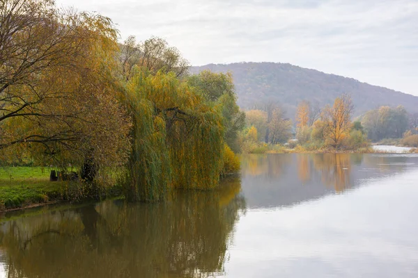 Wierzba Brzegu Rzeki Pochmurny Jesienny Dzień Górach Piękne Krajobrazy Świeżym — Zdjęcie stockowe
