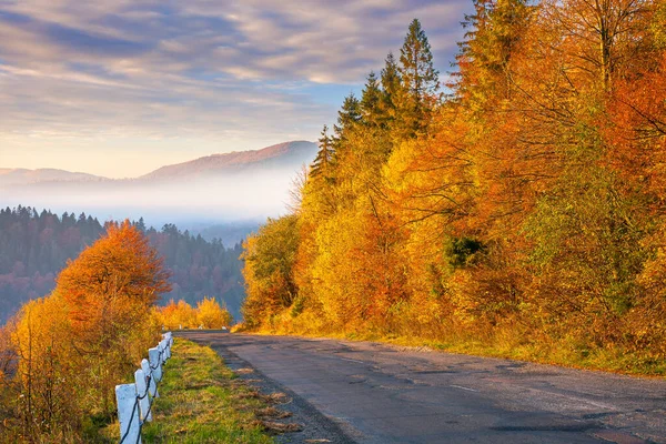 Country Road Sunrise Beautiful Mountain Scenery Fall Season Trees Colorful — Stock Photo, Image