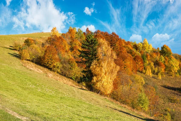 Paisaje Rural Los Cárpatos Otoño Hermoso Paisaje Montañoso Luz Tarde — Foto de Stock