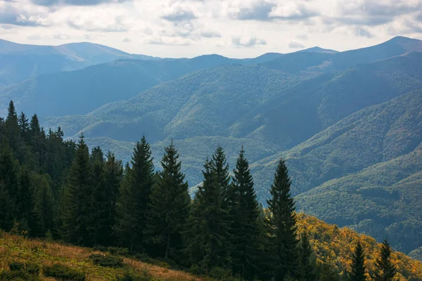 Karpaternas Skogsklädda Berg Hösten Vacker Natur Landskap Molnig Dag — Stockfoto