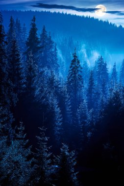 Sisli bir gecede kozalaklı orman. Dolunay ışığında tepenin eteğindeki ağaçlar. Kabarık bulutlu mavi gökyüzü. huzurlu kırsal alan manzarası