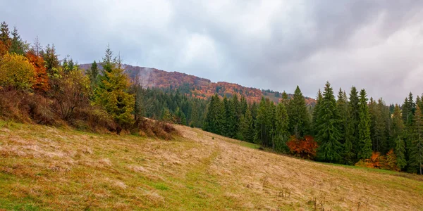 Осенний Пейзаж Лесом Холме Красивый Горный Пейзаж Осенью Цвета Облачно — стоковое фото