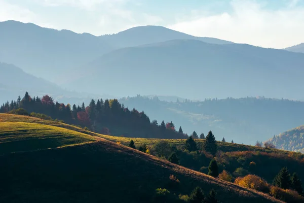 Bergige Landschaft Herbst Grasbewachsene Wiesen Und Bäume Buntem Laub Auf — Stockfoto