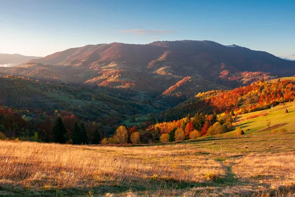 Karpatská Venkovská Krajina Při Východu Slunce Stromy Barevném Listí Travnatých — Stock fotografie