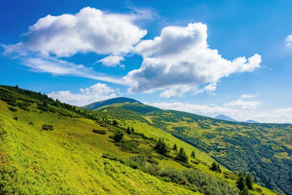 Yazın Petros Dağı Tepeleri Güneşli Bir Günde Karpatların Harika Doğa — Stok fotoğraf