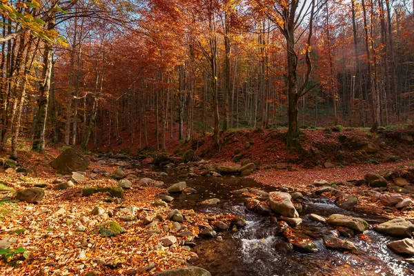 Mountain River Autumn Forest Trees Fall Foliage Leaves Stones Ground — Stock Photo, Image