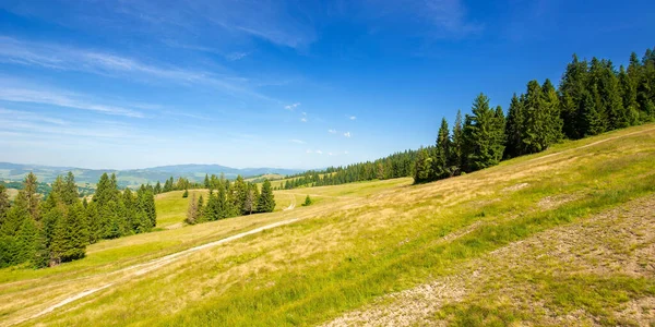 Árboles Colina Vista Lejano Valle Rural Cielo Azul Con Nubes — Foto de Stock