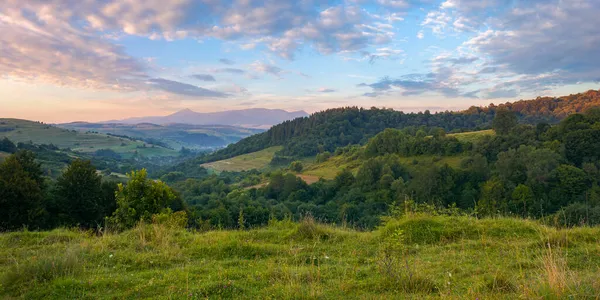 Paisagem Rural Montanhosa Amanhecer Pastagens Campos Rurais Perto Floresta Nas — Fotografia de Stock