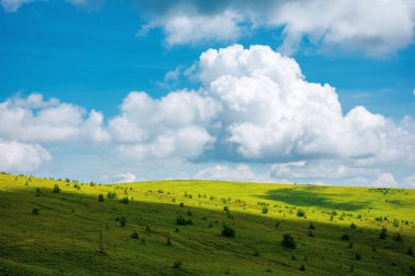 Dağlarda yaz manzarası. Beyaz tüylü kümülüs bulutları, sakinlik ve rahatlama konseptiyle harika bir gökyüzü altında yuvarlanan tepelerin güzel manzarası.