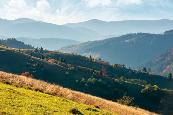 Paesaggio Montano Autunno Prati Erbosi Alberi Fogliame Colorato Colline Che — Foto Stock