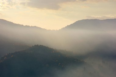 Dağ doğası. Manzaralı sisli hava. Tepelerde, renkli ağaçlar...
