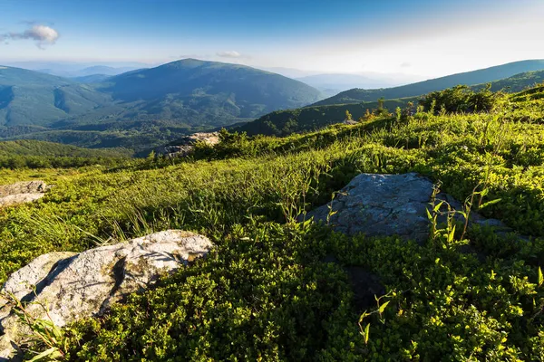 Horská Krajina Létě Pohled Vzdáleného Údolí Vrcholu Alpské Louky Kameny — Stock fotografie