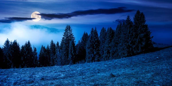 夜の丘の上の針葉樹林 満月の光の中での自然霧の風景 秋の美しい山の風景空に雲 — ストック写真