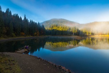 Dağ gölündeki sabah manzarası. Sis ile güzel sonbahar manzarası. Kıyıdaki kozalaklı orman. Synevyr Ulusal Parkı, Ukrayna
