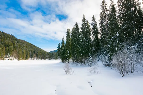 Dağlardaki Kış Manzarası Güneşli Bir Günde Kozalaklı Ormanlı Güzel Bir — Stok fotoğraf