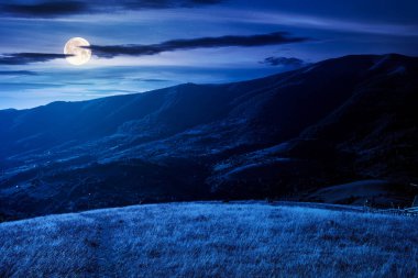Geceleri Karpat kırsalının manzarası. Sonbahar ya da yaz mevsimi erken saatlerde dolunayda dağlarda. Çimenli tepelerdeki ağaçlar uzak vadiye doğru yuvarlanıyor.
