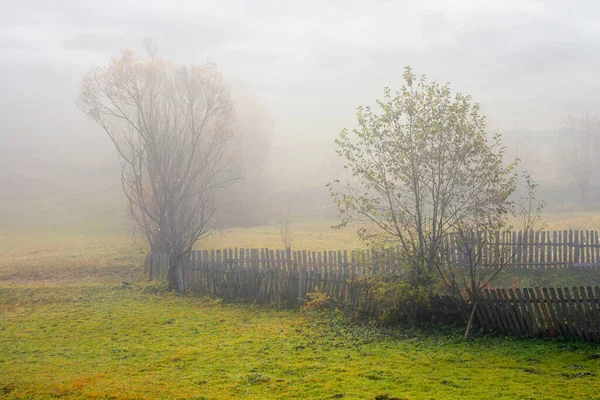 Holzzaun Auf Dem Feld Ländliche Landschaft Einem Nebligen Morgen Herbst — Stockfoto