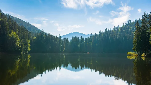 夏に湖と山の風景 水の周りの美しい森の風景 シネビル国立公園ウクライナの風光明媚な旅行背景 緑の屋外自然環境 — ストック写真