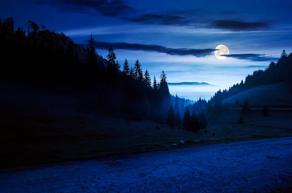 Bergslandskap Dimmig Natt Barrträd Den Gräsbevuxna Ängen Dalen Fullmåne Ljus — Stockfoto