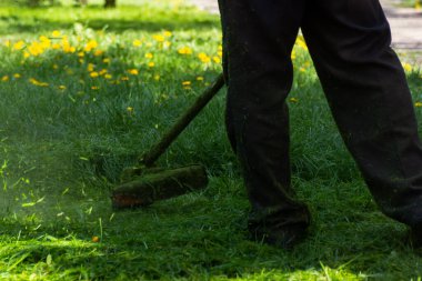 Çimlerin üzerinde çim biçme. Bahçe malzemeleriyle çalışmak. Yazın bahçe bakımı
