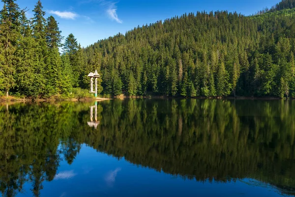 Пейзаж Озером Зеленая Природа Летом Отражение Леса Воде Прекрасный Вид — стоковое фото