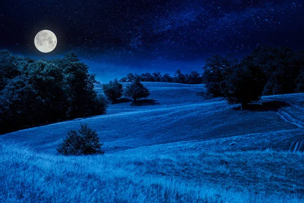 Buki Wzgórzu Nocy Pusta Alpejska Łąka Suchą Trawą Świetle Księżyca — Zdjęcie stockowe