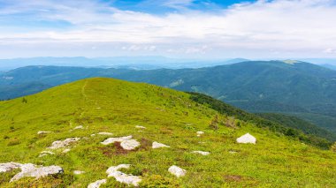 Çimenli yamaçtaki ağaç. Yeşil vadiye bakın. Güzel doğa geçmişi. Yaz kırsal bölgeleri dağlarda