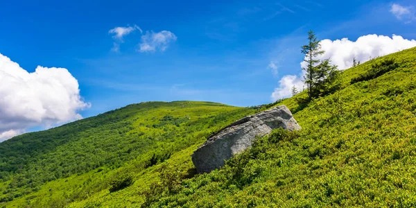 Fondo Viaje Aire Libre Paisaje Montaña Verano Hermoso Paisaje Con — Foto de Stock