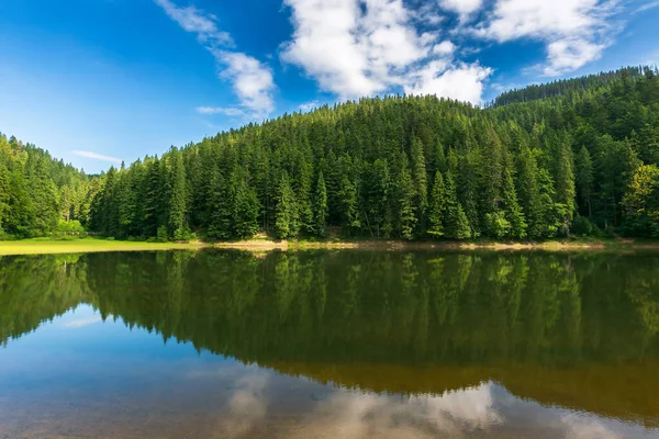 Krajina Klidným Jezerem Létě Klidná Příroda Lesním Odrazem Vodě Krásné — Stock fotografie