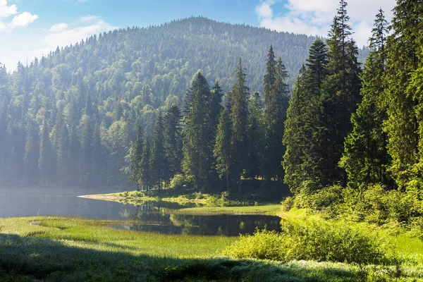 Landschaft Mit Ruhigem See Sommer Waldspiegelung Wasser Schöne Reiseansicht Von — Stockfoto