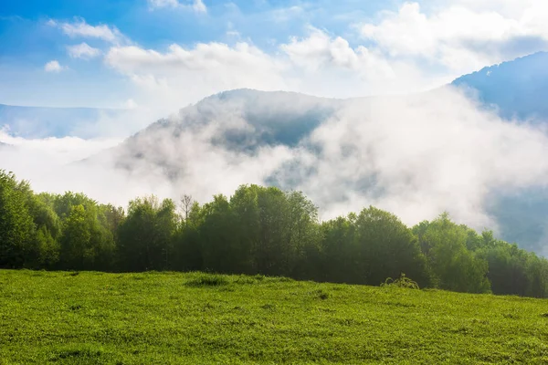 Green Mountain Landscape Gorgeous Weather Fog Rising Distant Valley Deciduous — Stock Photo, Image