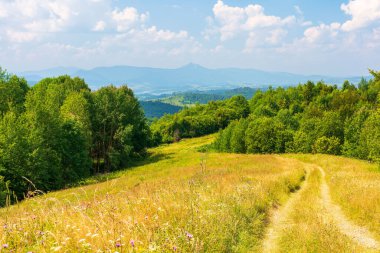 Transcarpathia 'nın güzel kırsalları. Güneşli bir öğleden sonra. Dağlardaki manzaralı yaz manzarası. Çimenli çayırlar ve yuvarlanan orman tepeleri. Kırsal yol manzarası akşam ışığında yeşil tarlalar arasında